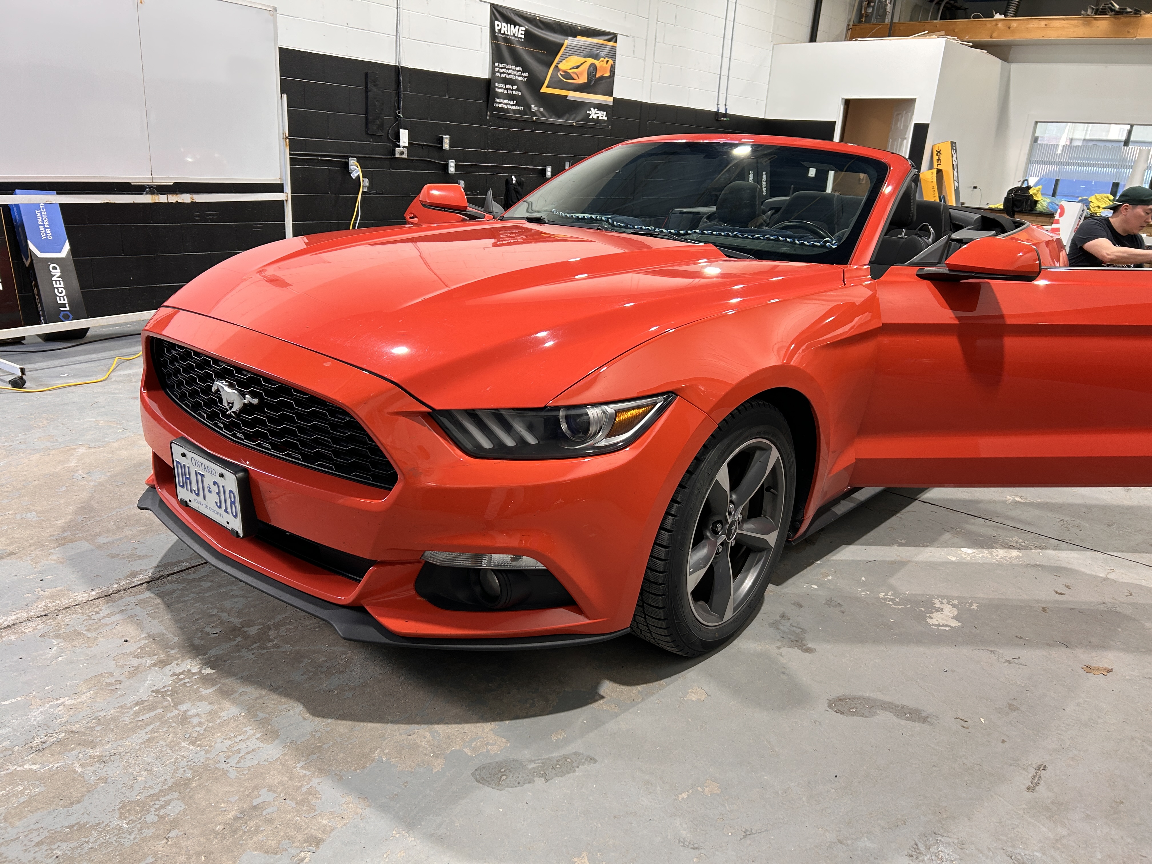 Art of Tinting showcase