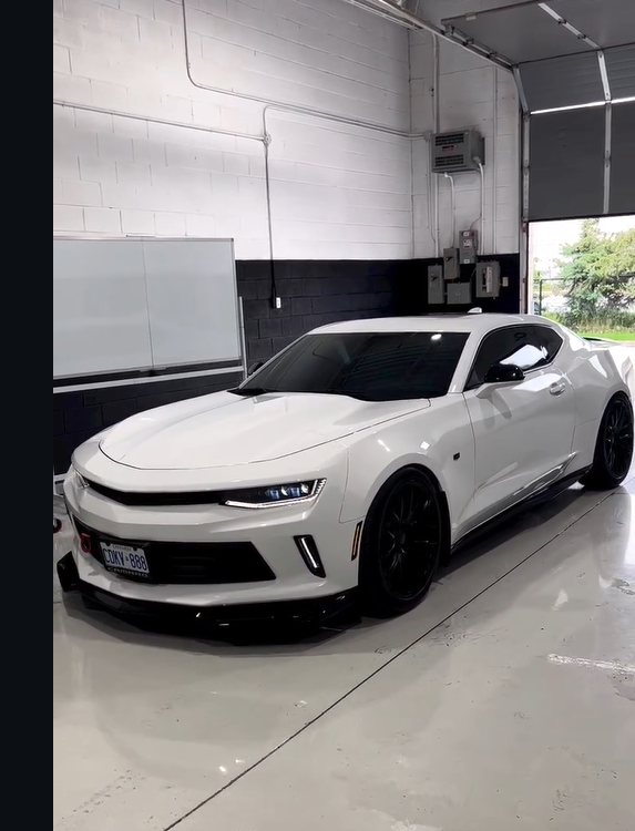Tinting work in progress